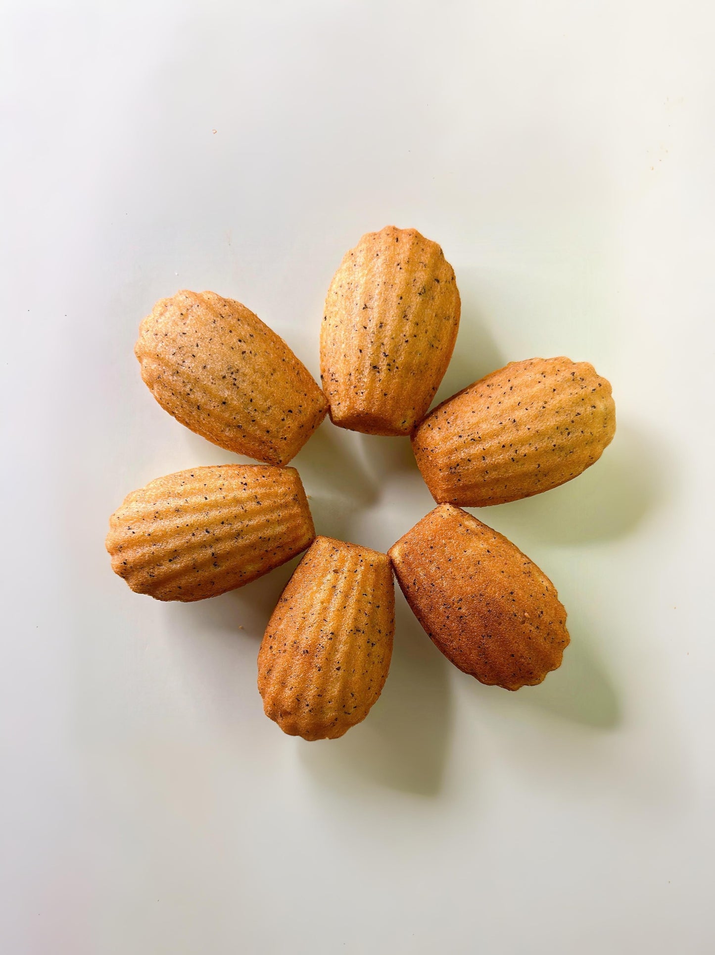 Madeleine