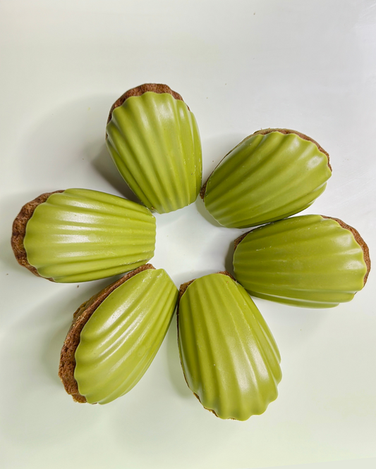 Matcha / Chocolate